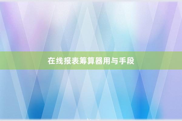 在线报表筹算器用与手段