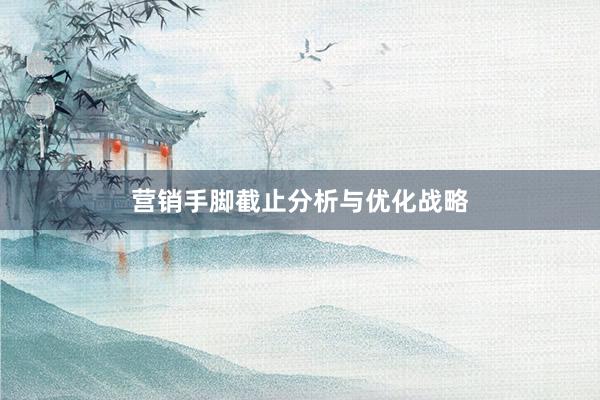 营销手脚截止分析与优化战略